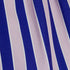 BIG LINES PURPLE